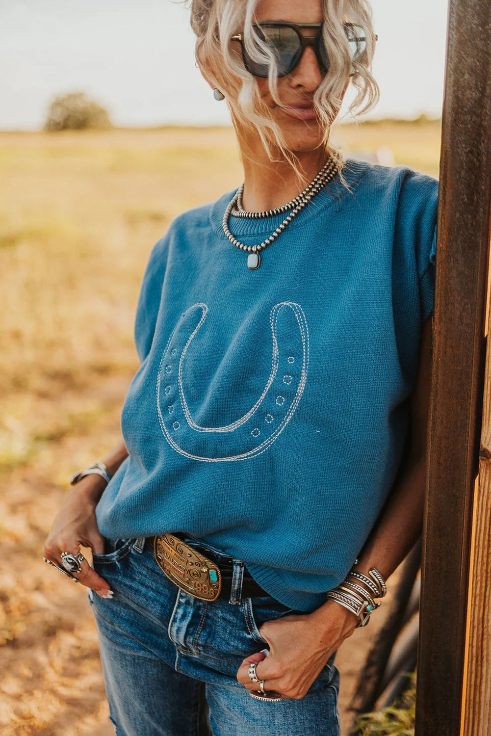 Light Blue Horseshoe Embroidered Loose Short Sleeve Sweater