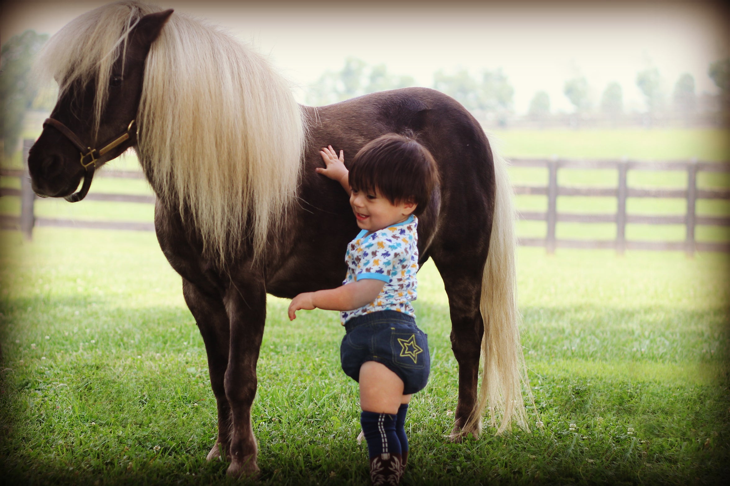 Horse Pattern Onesie