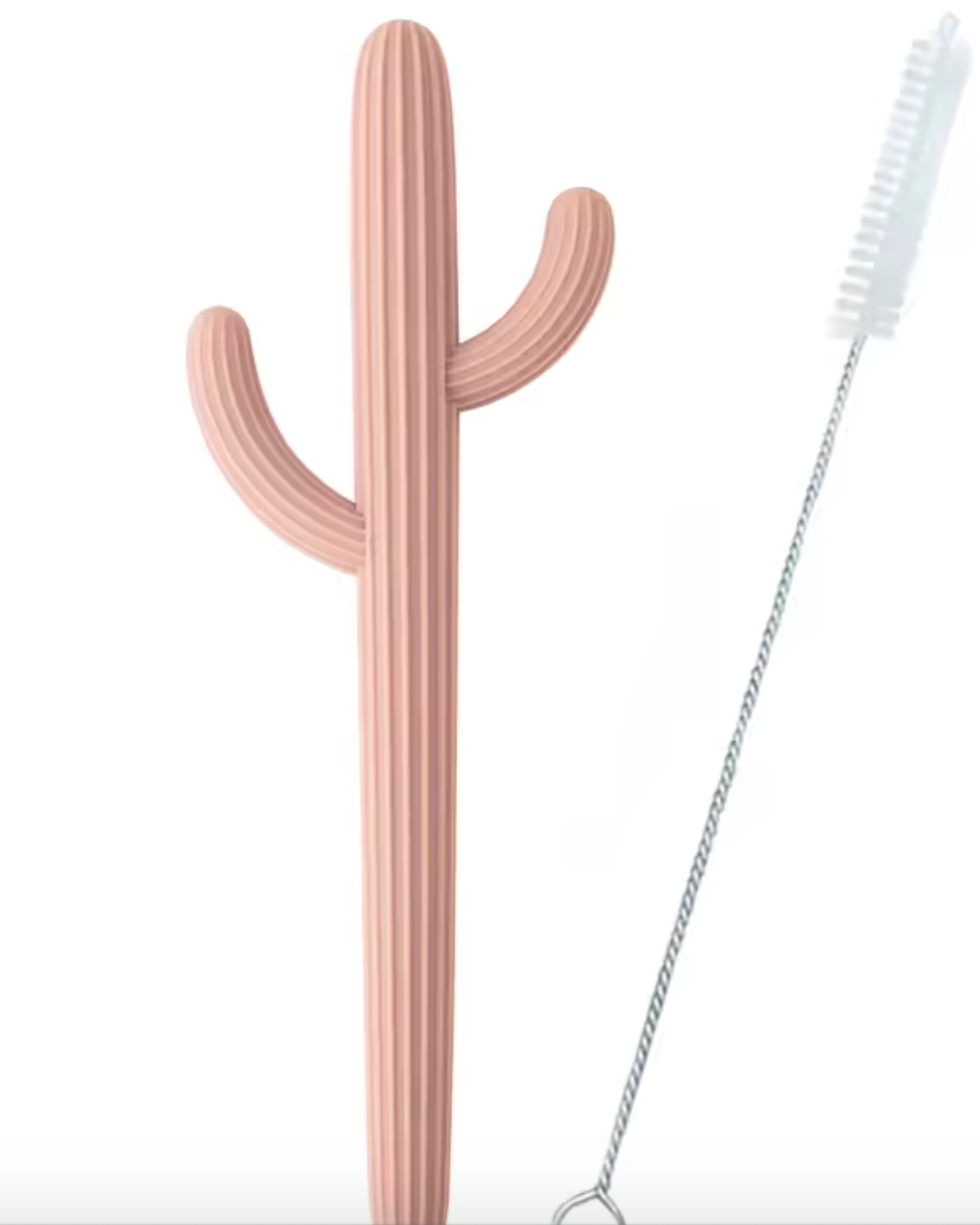 Cactus Teether